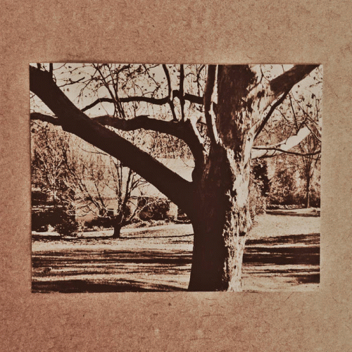 Life (USA-2) : Demo Four